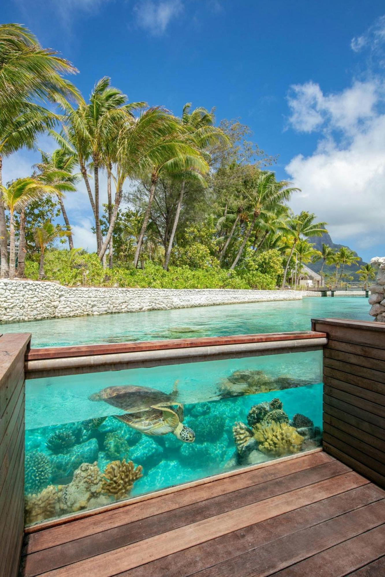 Westin Bora Bora Resort & Spa Esterno foto